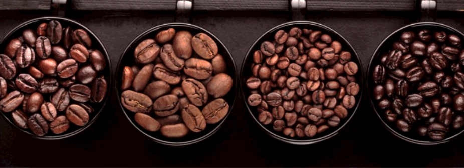 Artistic coffee bean visual featuring four different coffee roasting profiles, accompanied by espresso and Turkish coffee equipment pictograms under the 'Coffee Alchemy' branding.